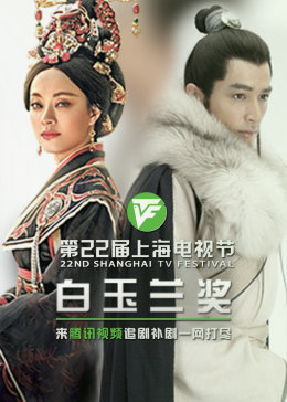 韩国夫人海报剧照