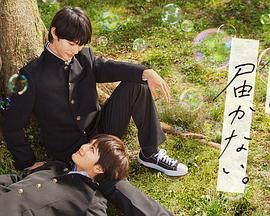 鲁大师在线观看日本电影海报剧照